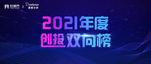 创业投资赛场 2021年谁主沉浮？